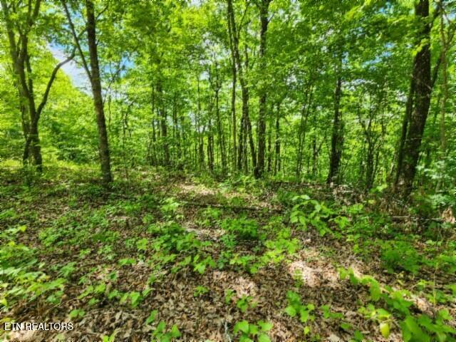 Lot 6 Forest Trails Lane Celina TN 38551