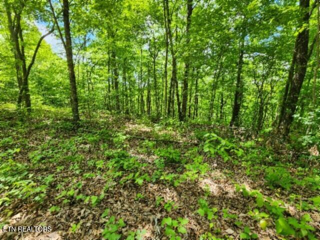 Lot 6 Forest Trails Lane Celina TN 38551