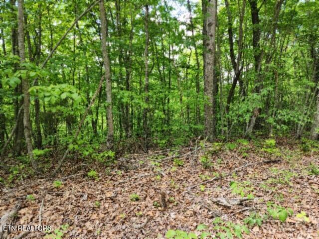 Lot 6 Forest Trails Lane Celina TN 38551