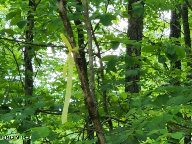 Lot 6 Forest Trails Lane Celina TN 38551