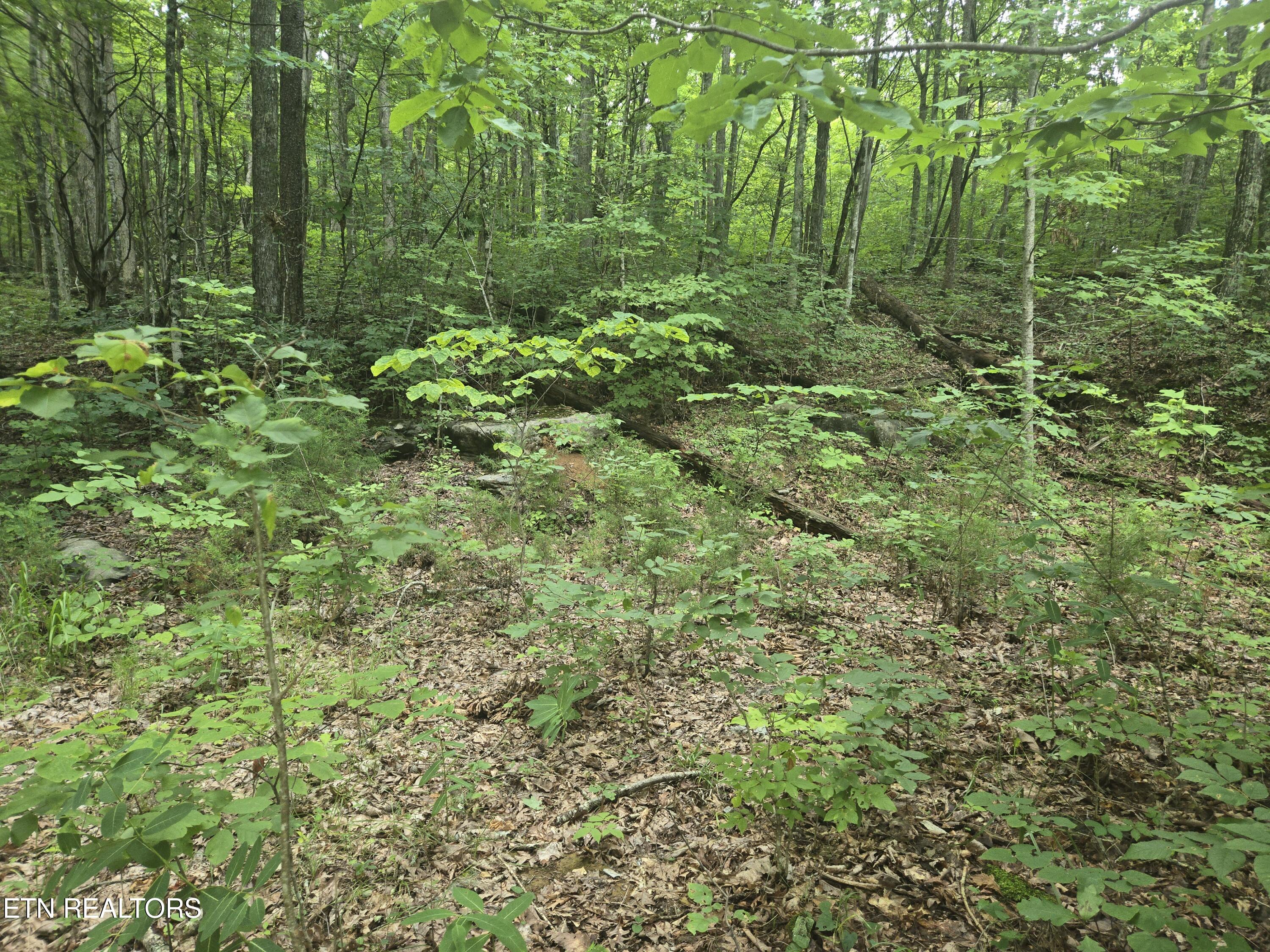 Prospect Road Sneedville TN 37869