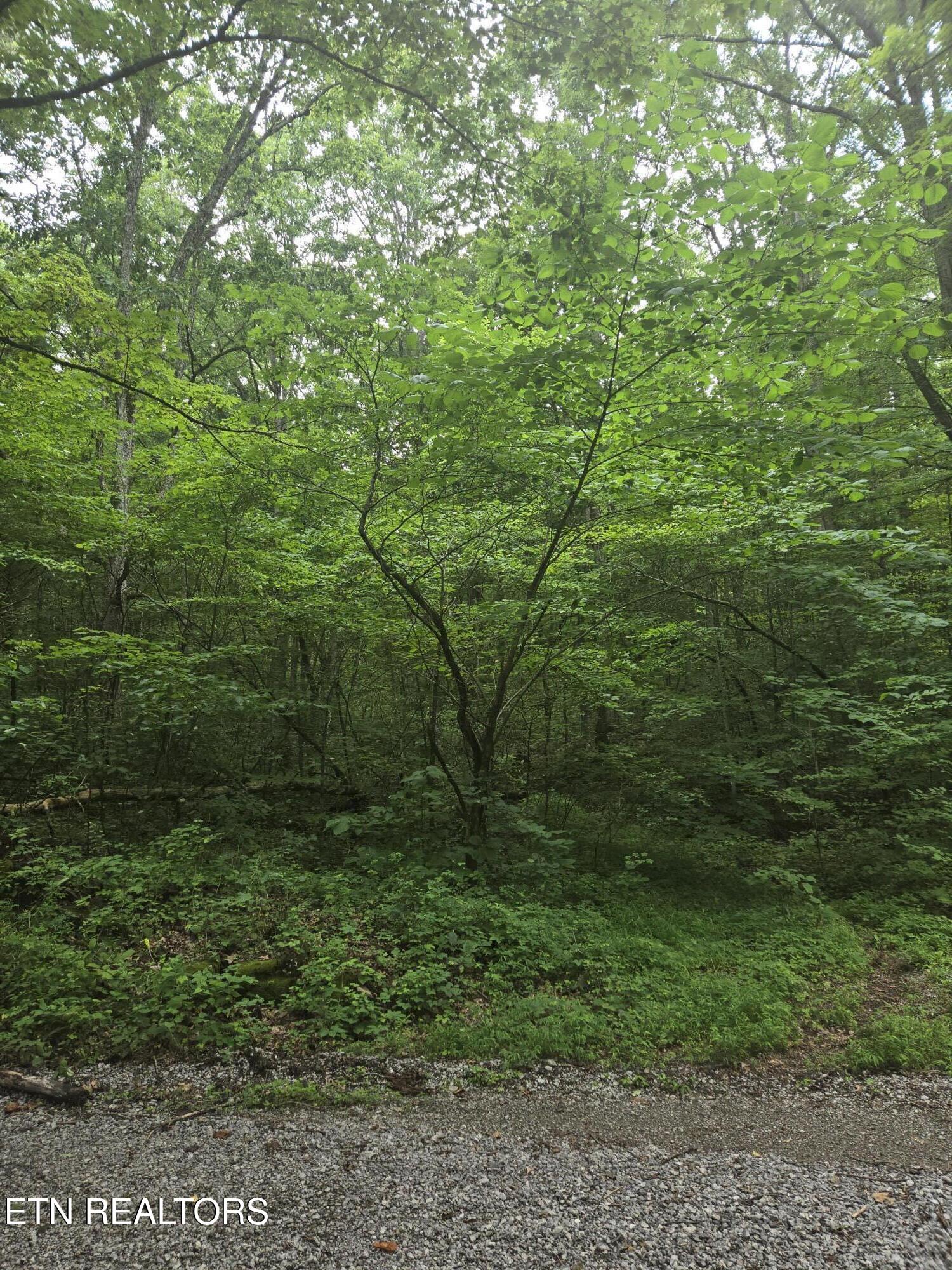 Prospect Road Sneedville TN 37869