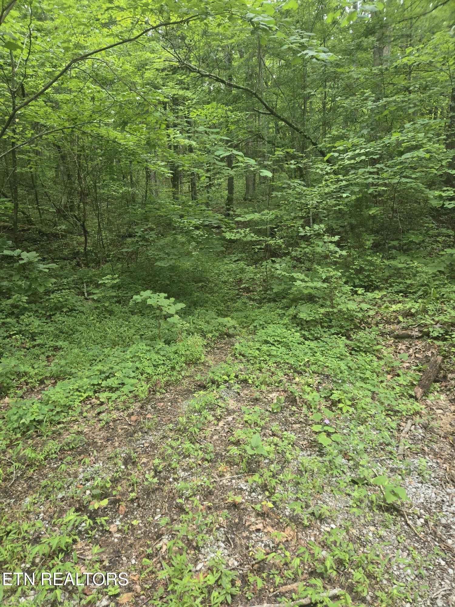 Prospect Road Sneedville TN 37869
