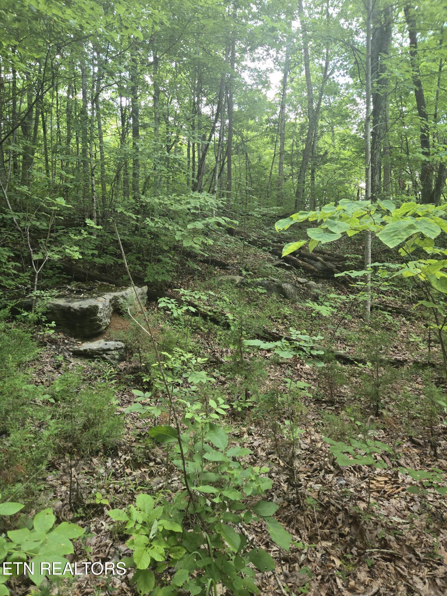 Prospect Road Sneedville TN 37869