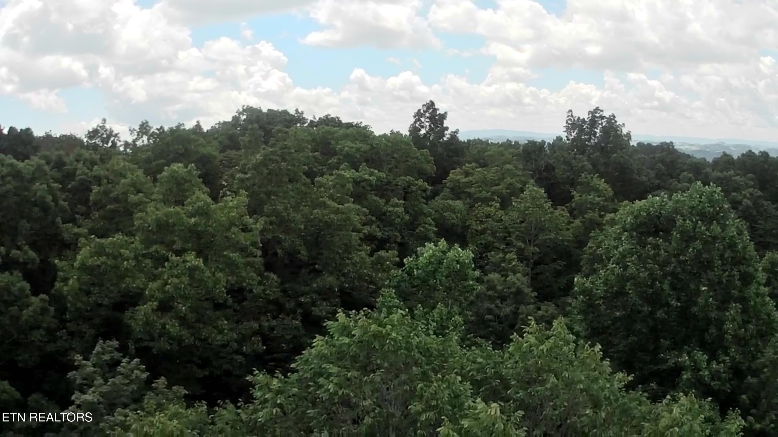 Prospect Road Sneedville TN 37869