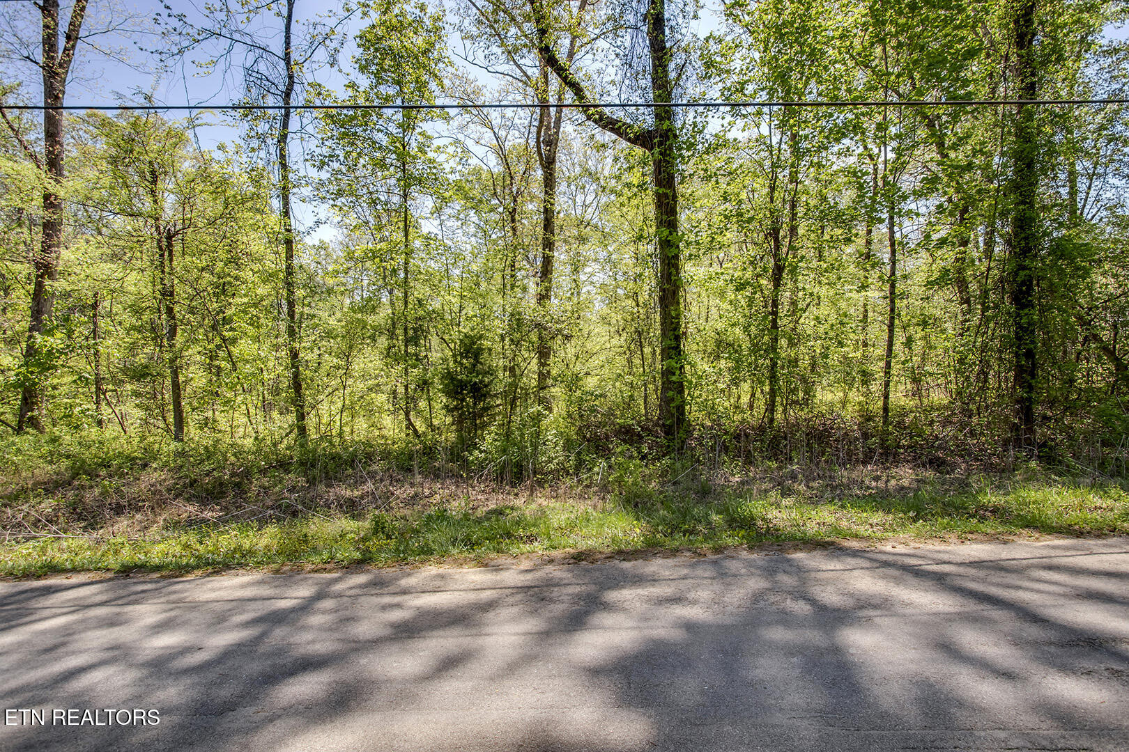 485 Oak Grove Road Decatur TN 37322