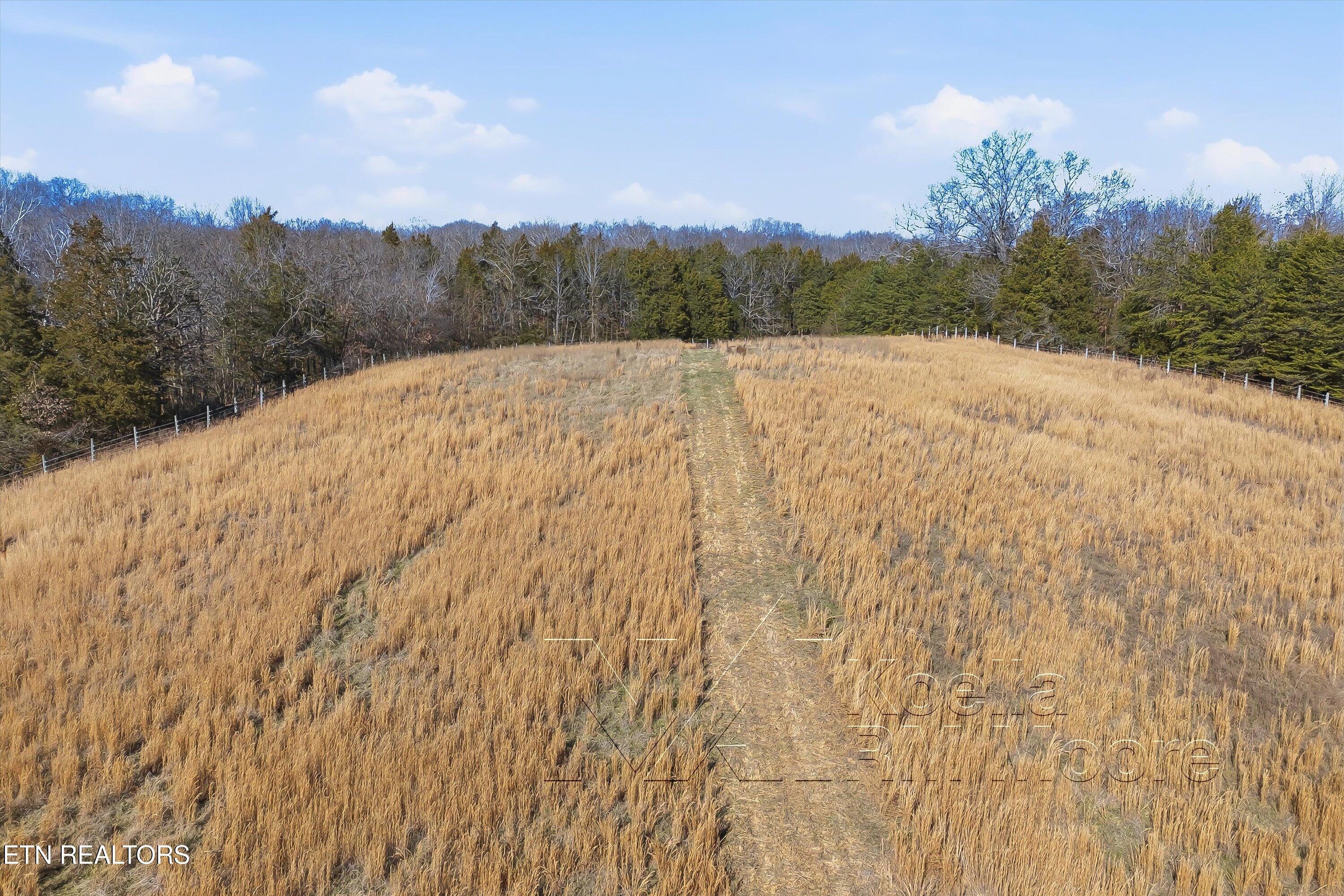 1271 New Hope Road Rockwood TN 37854