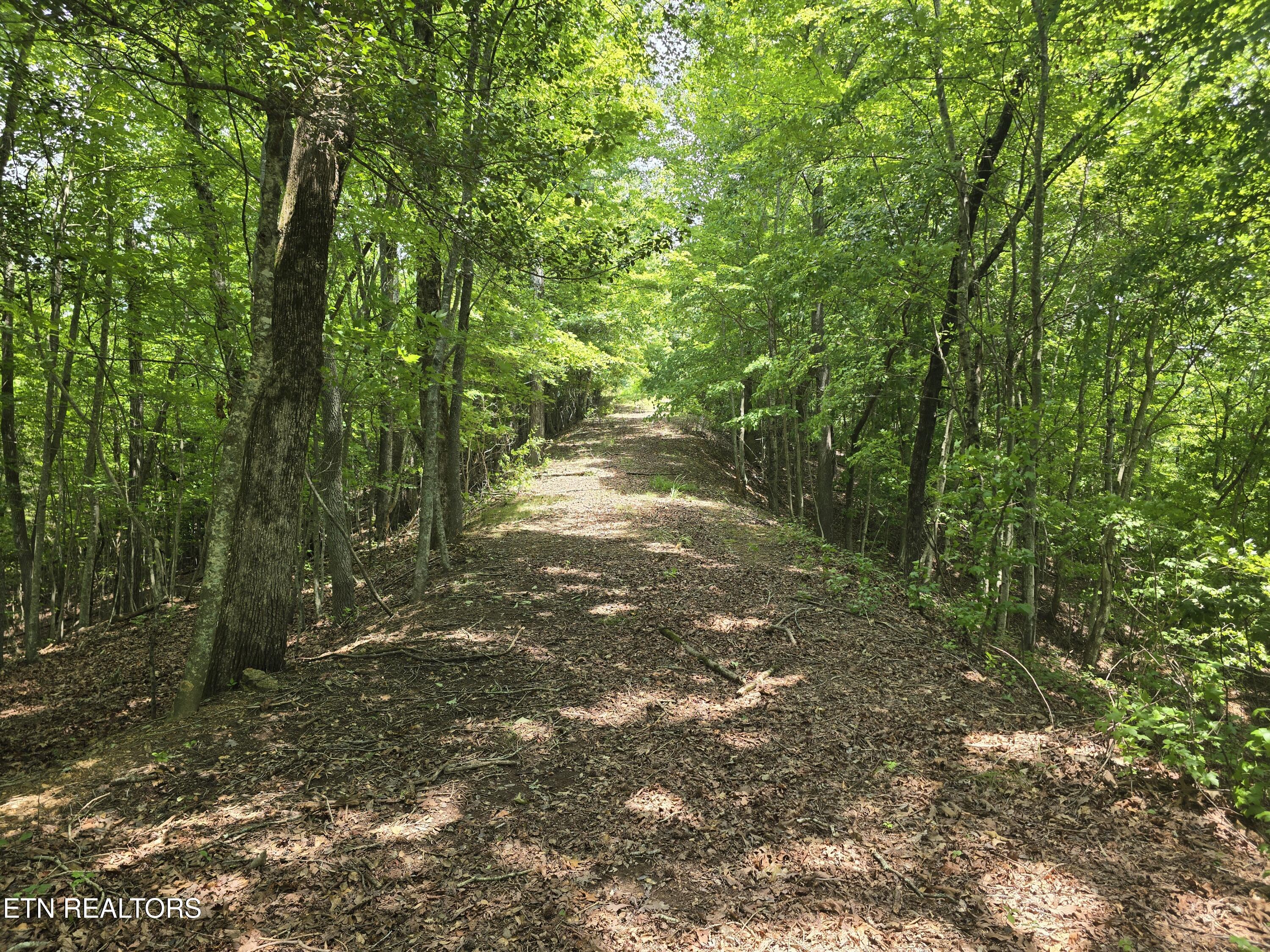 Lot 22 Twin Feathers Drive Rockwood TN 37854