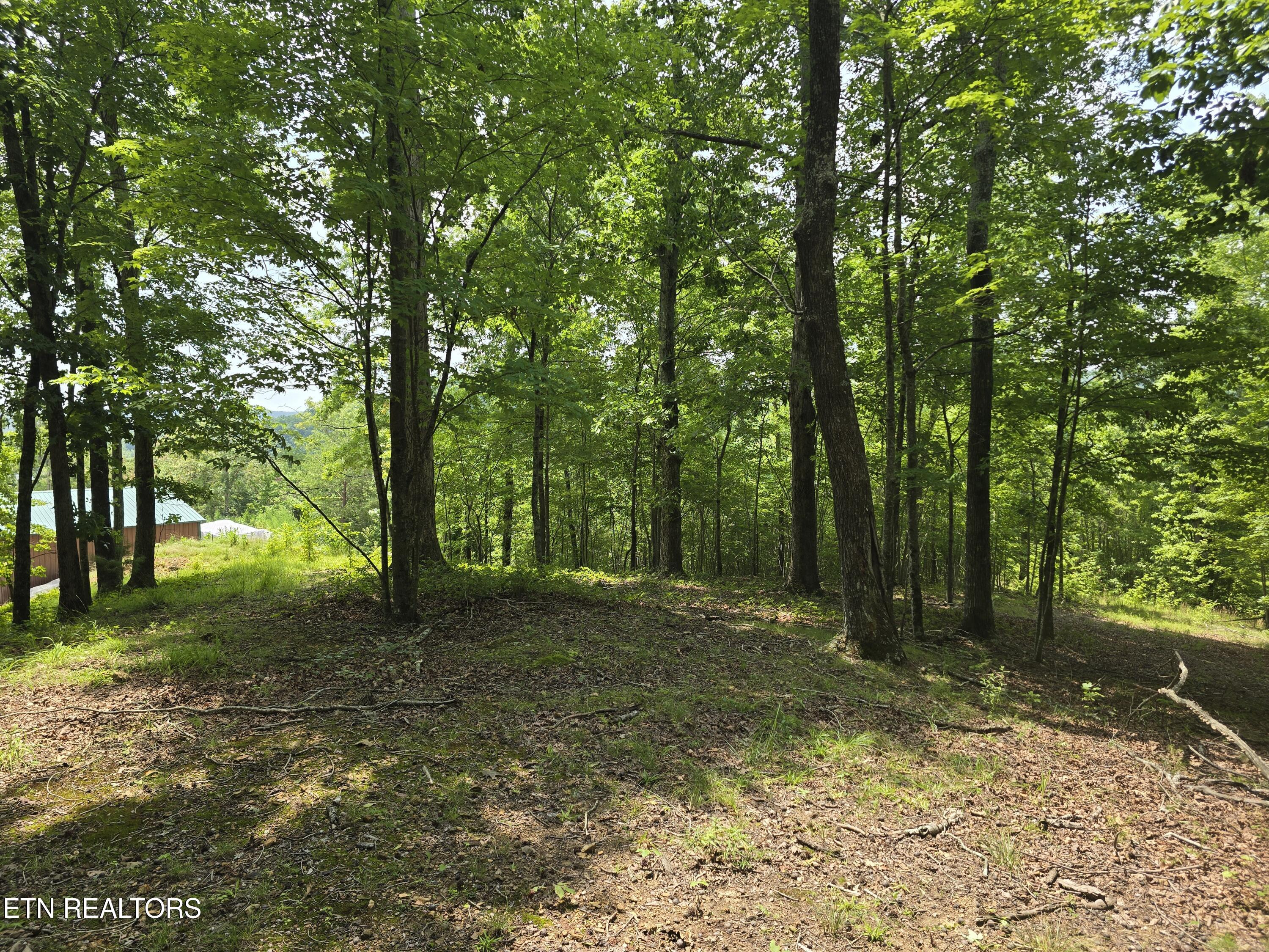 Lot 22 Twin Feathers Drive Rockwood TN 37854