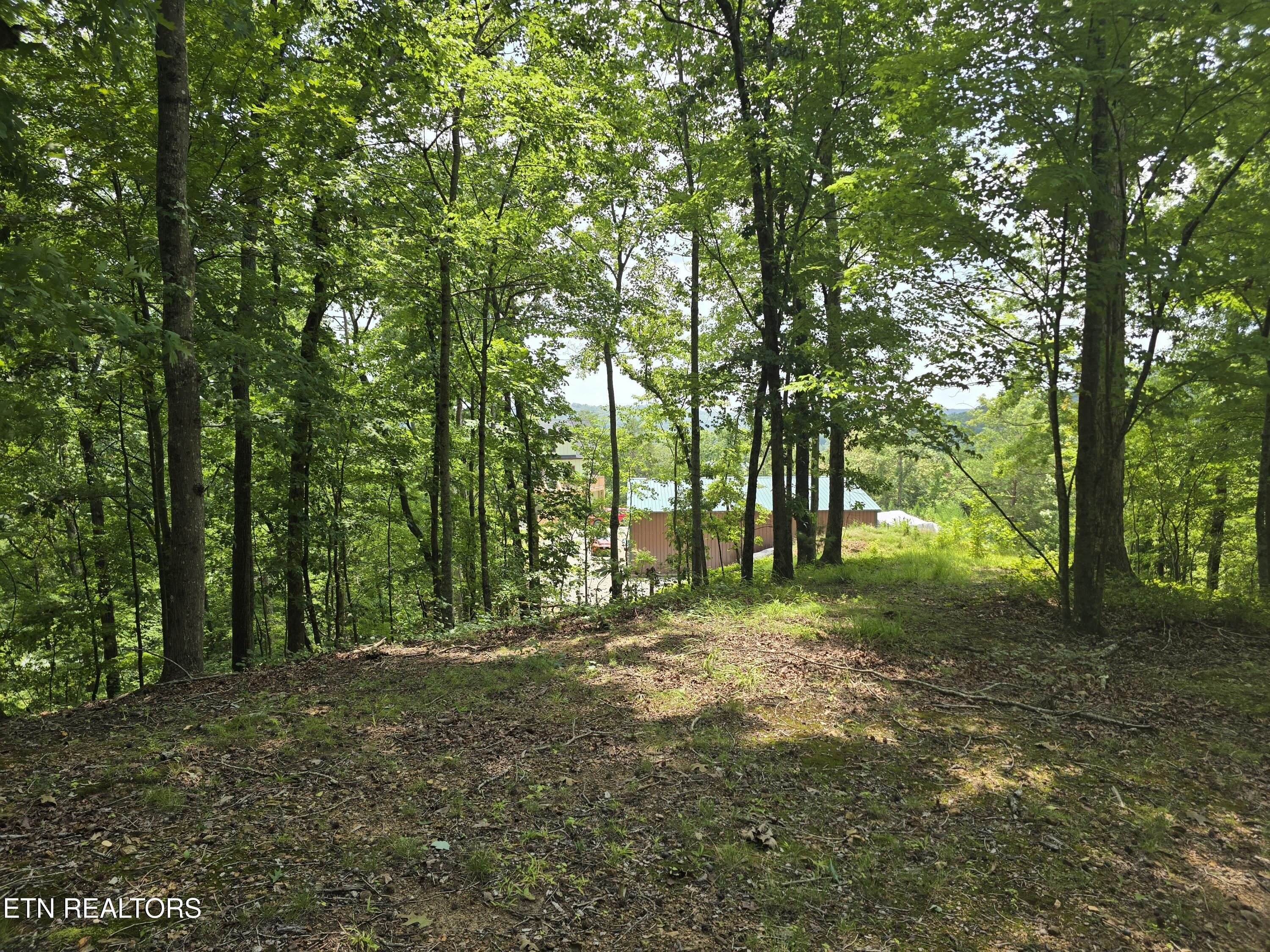 Lot 22 Twin Feathers Drive Rockwood TN 37854