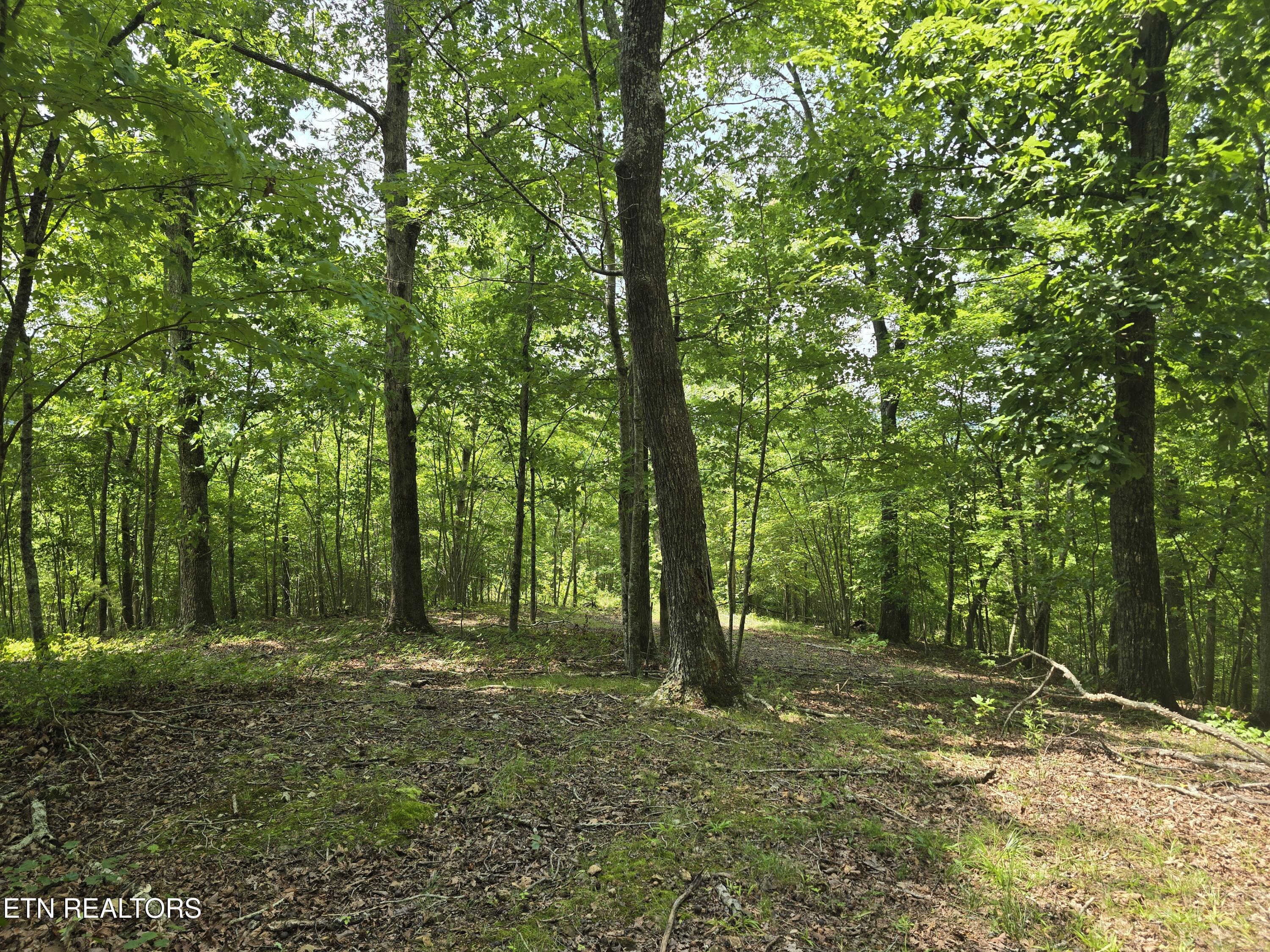 Lot 22 Twin Feathers Drive Rockwood TN 37854