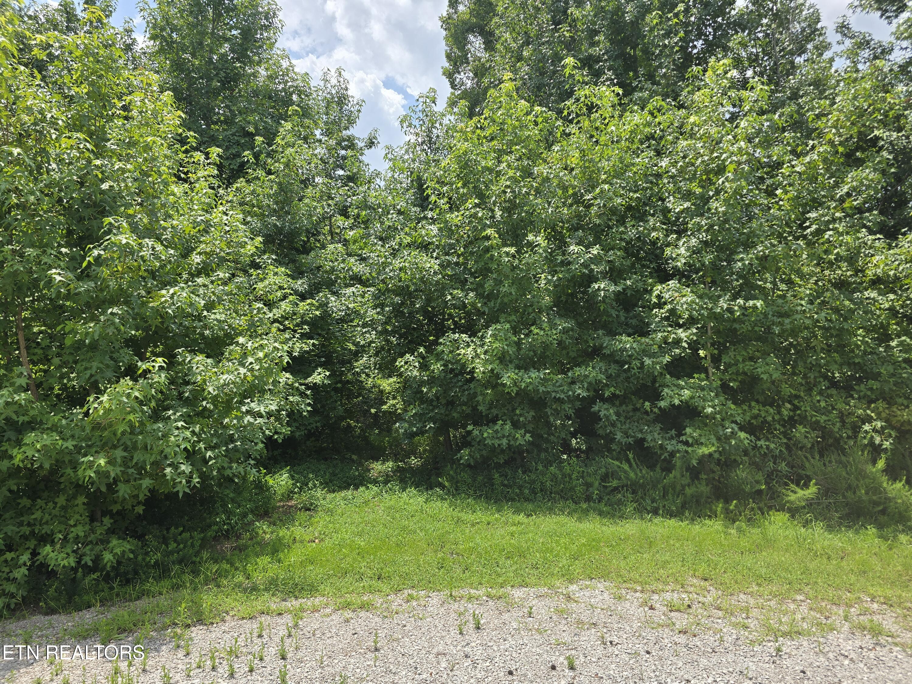 Lot 22 Twin Feathers Drive Rockwood TN 37854