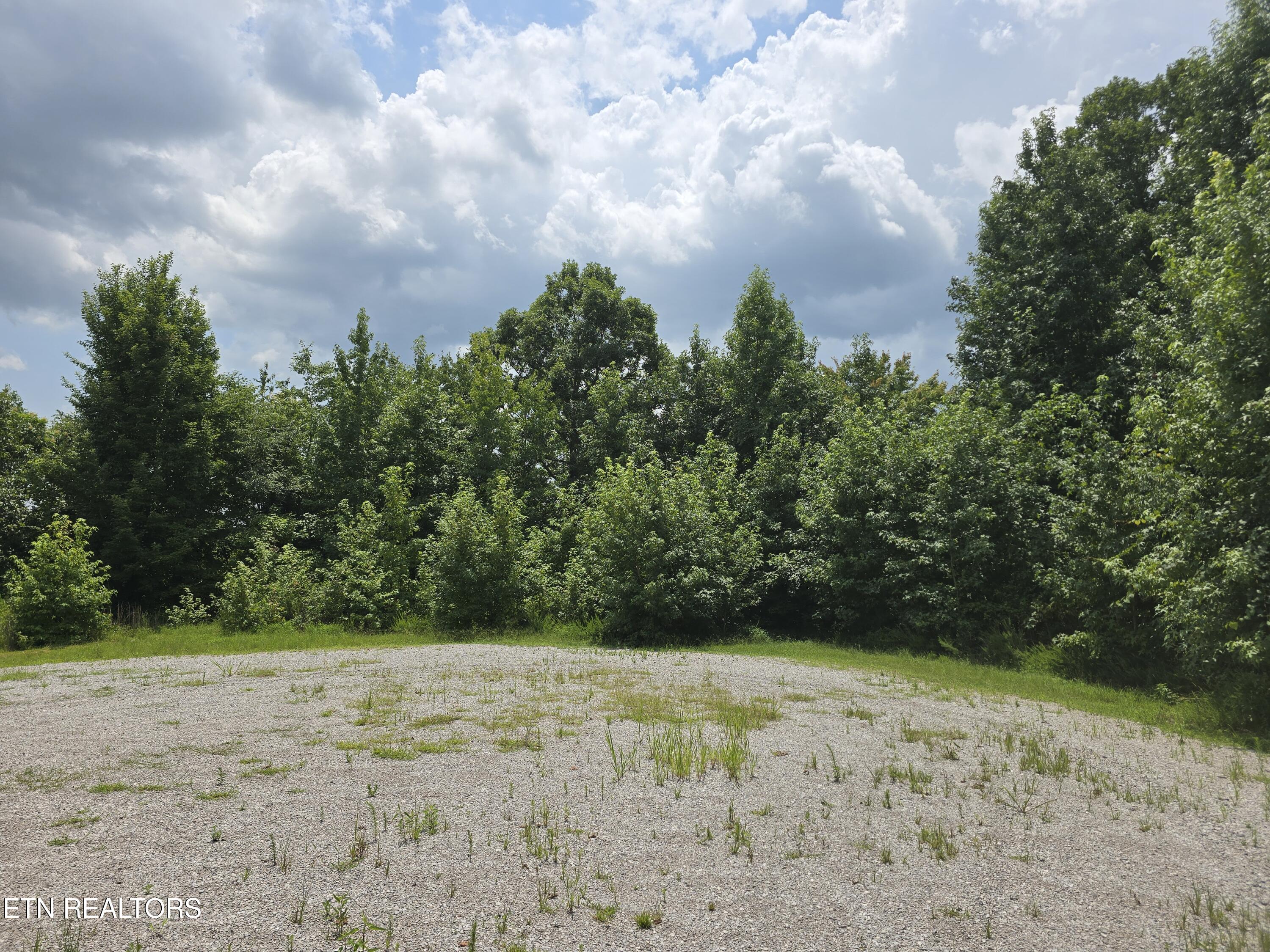 Lot 22 Twin Feathers Drive Rockwood TN 37854