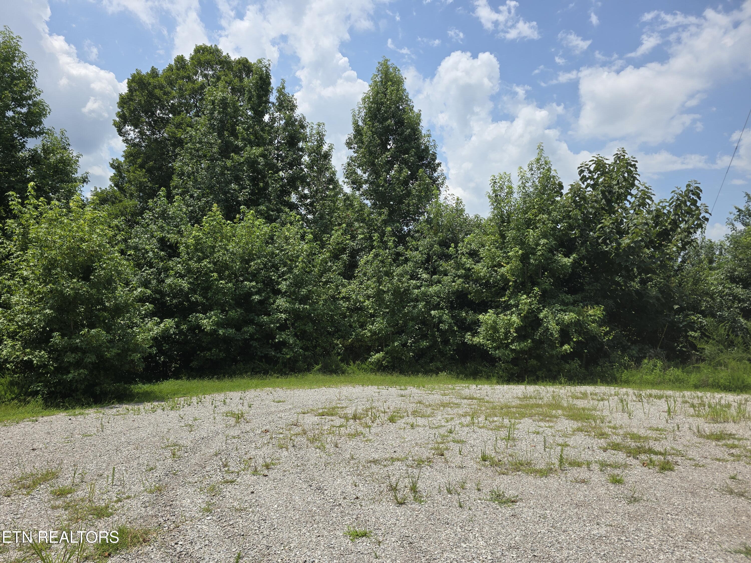 Lot 22 Twin Feathers Drive Rockwood TN 37854