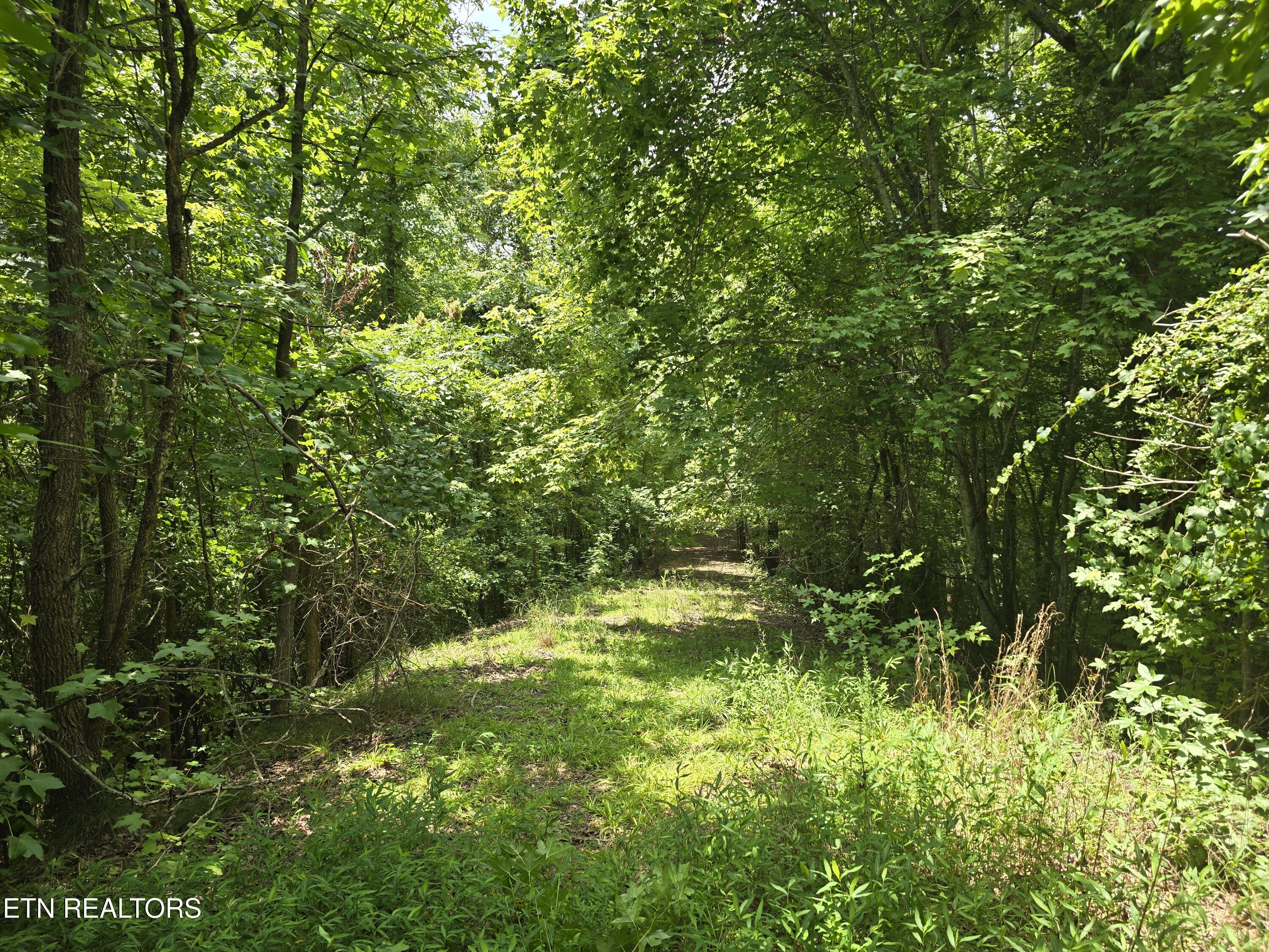 Lot 22 Twin Feathers Drive Rockwood TN 37854