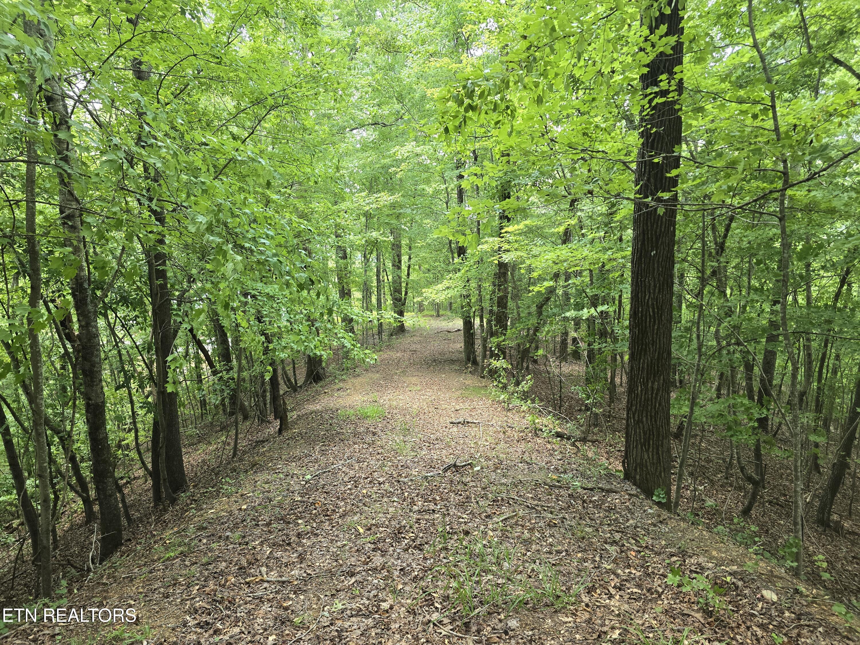Lot 22 Twin Feathers Drive Rockwood TN 37854
