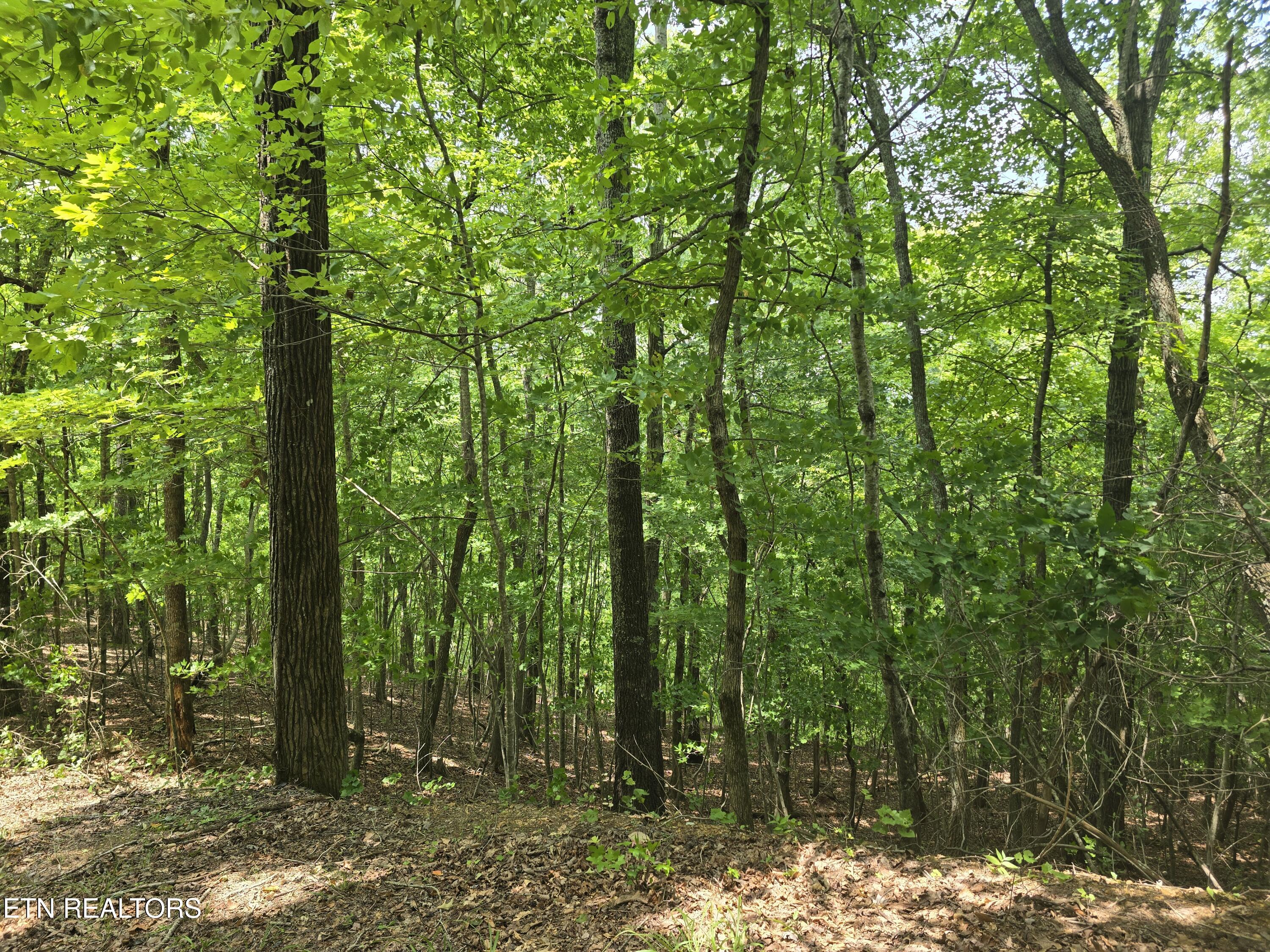 Lot 22 Twin Feathers Drive Rockwood TN 37854