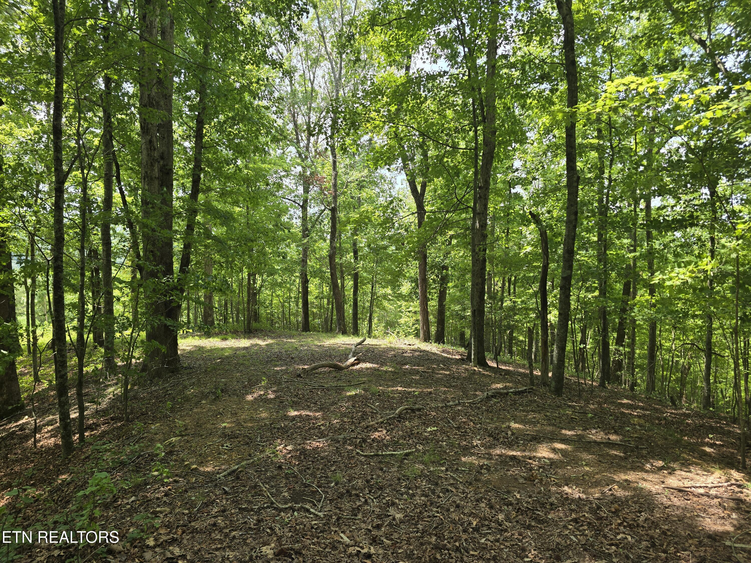 Lot 22 Twin Feathers Drive Rockwood TN 37854