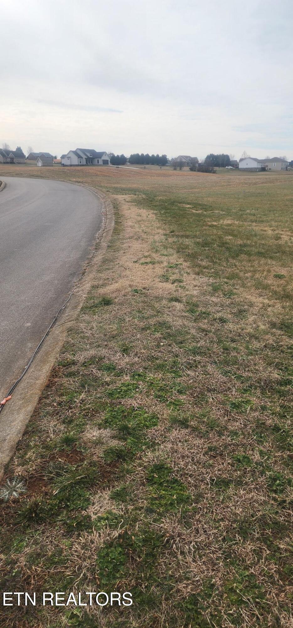 Magnolia Way Madisonville TN 37354