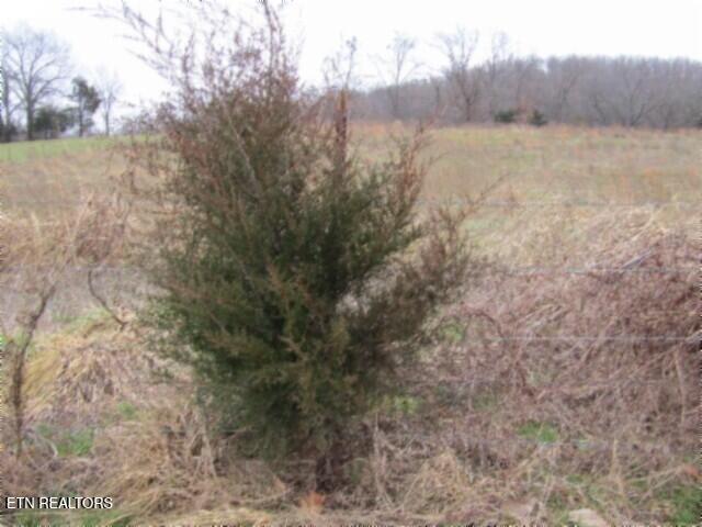 3.94AC Anderson Road Byrdstown TN 38549