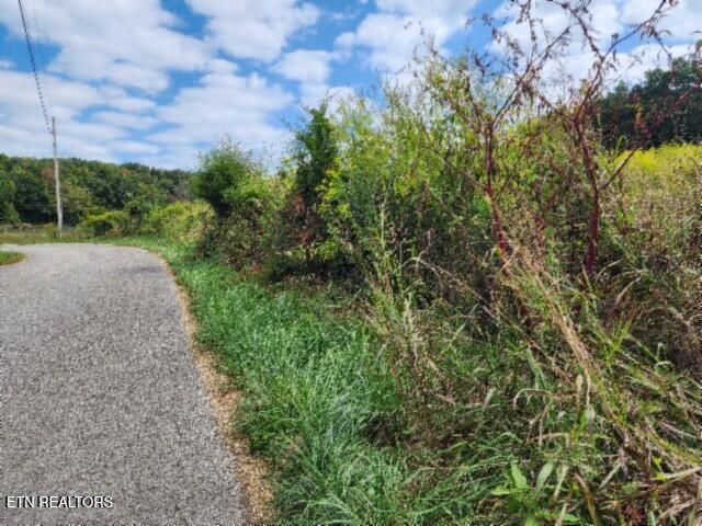 3.94AC Anderson Road Byrdstown TN 38549