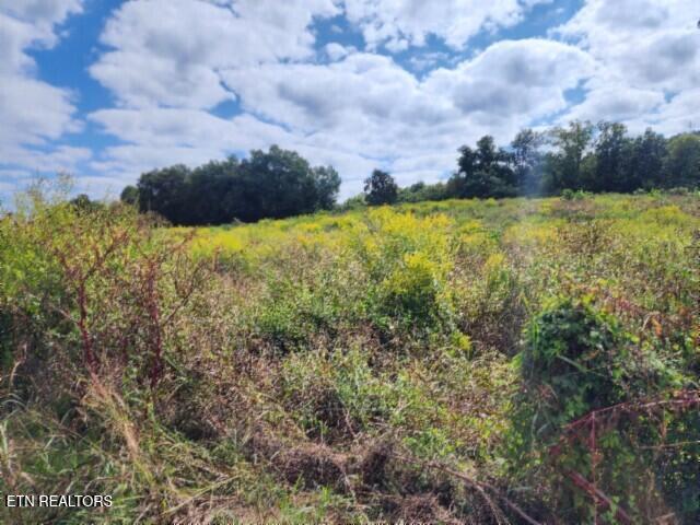 3.94AC Anderson Road Byrdstown TN 38549