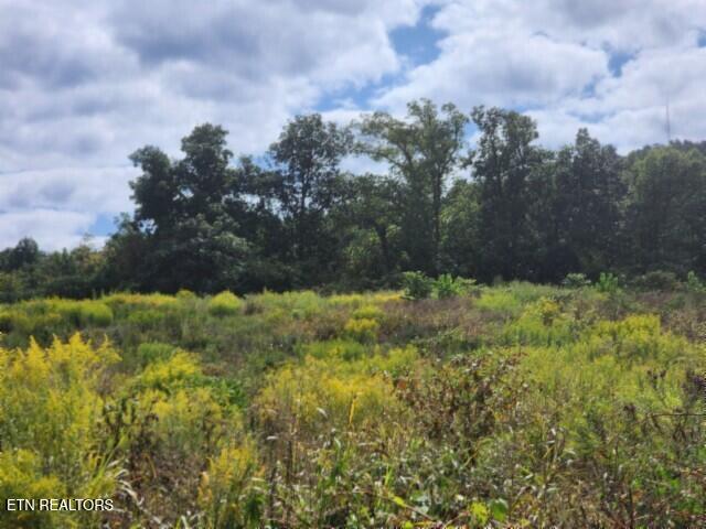 3.94AC Anderson Road Byrdstown TN 38549