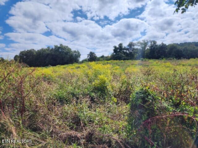 3.94AC Anderson Road Byrdstown TN 38549
