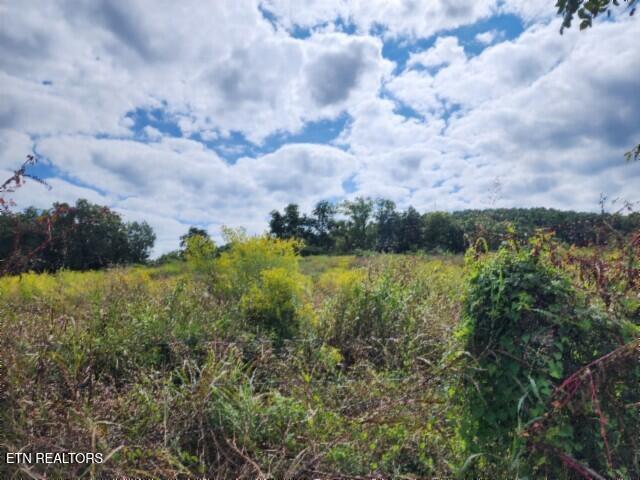 3.94AC Anderson Road Byrdstown TN 38549