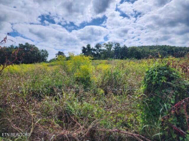 3.94AC Anderson Road Byrdstown TN 38549