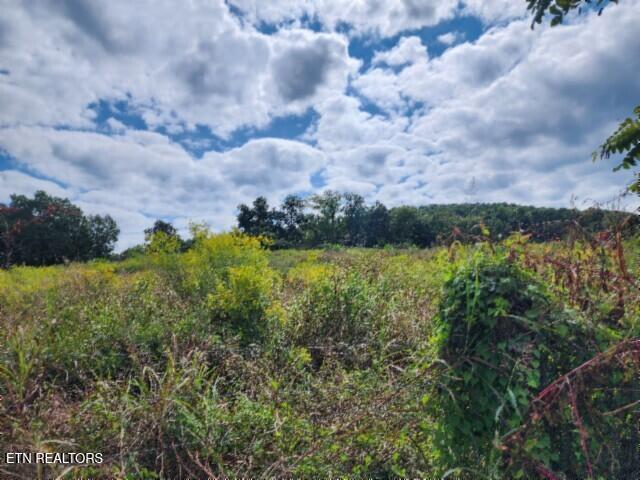 3.94AC Anderson Road Byrdstown TN 38549