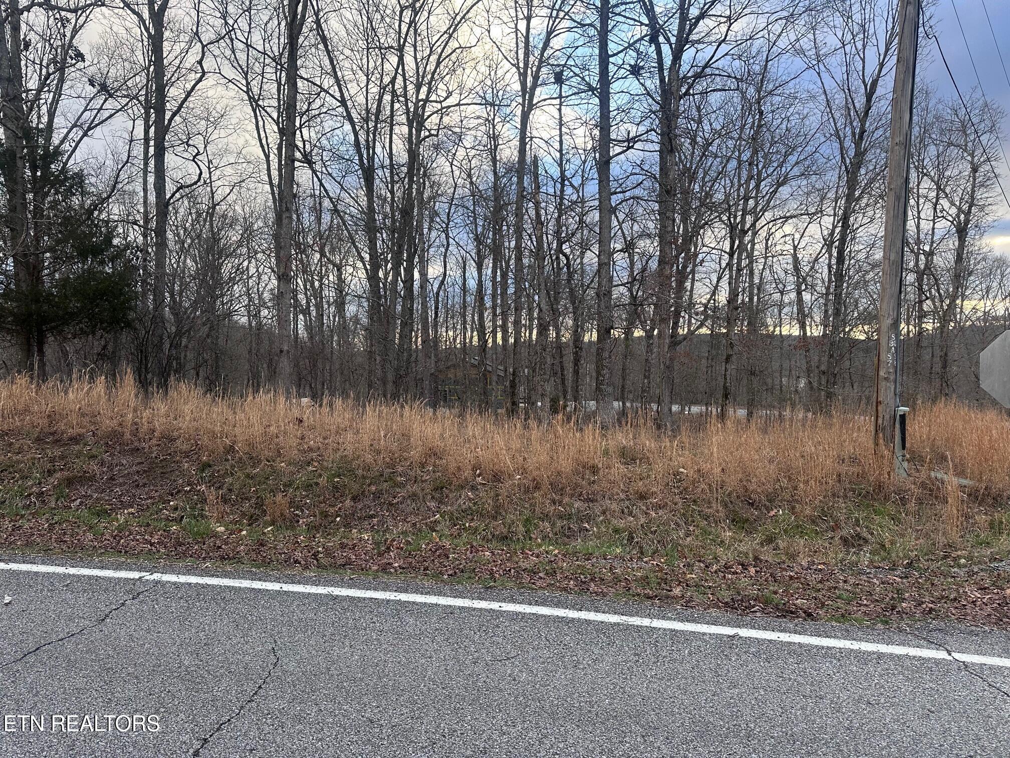 Lot 2 Indian Shadows Drive Ten Mile TN 37880