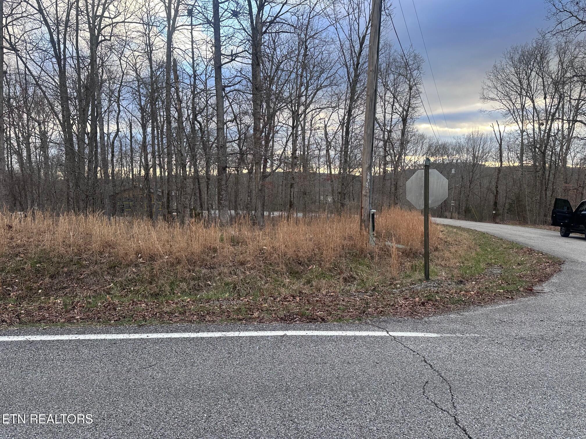 Lot 2 Indian Shadows Drive Ten Mile TN 37880