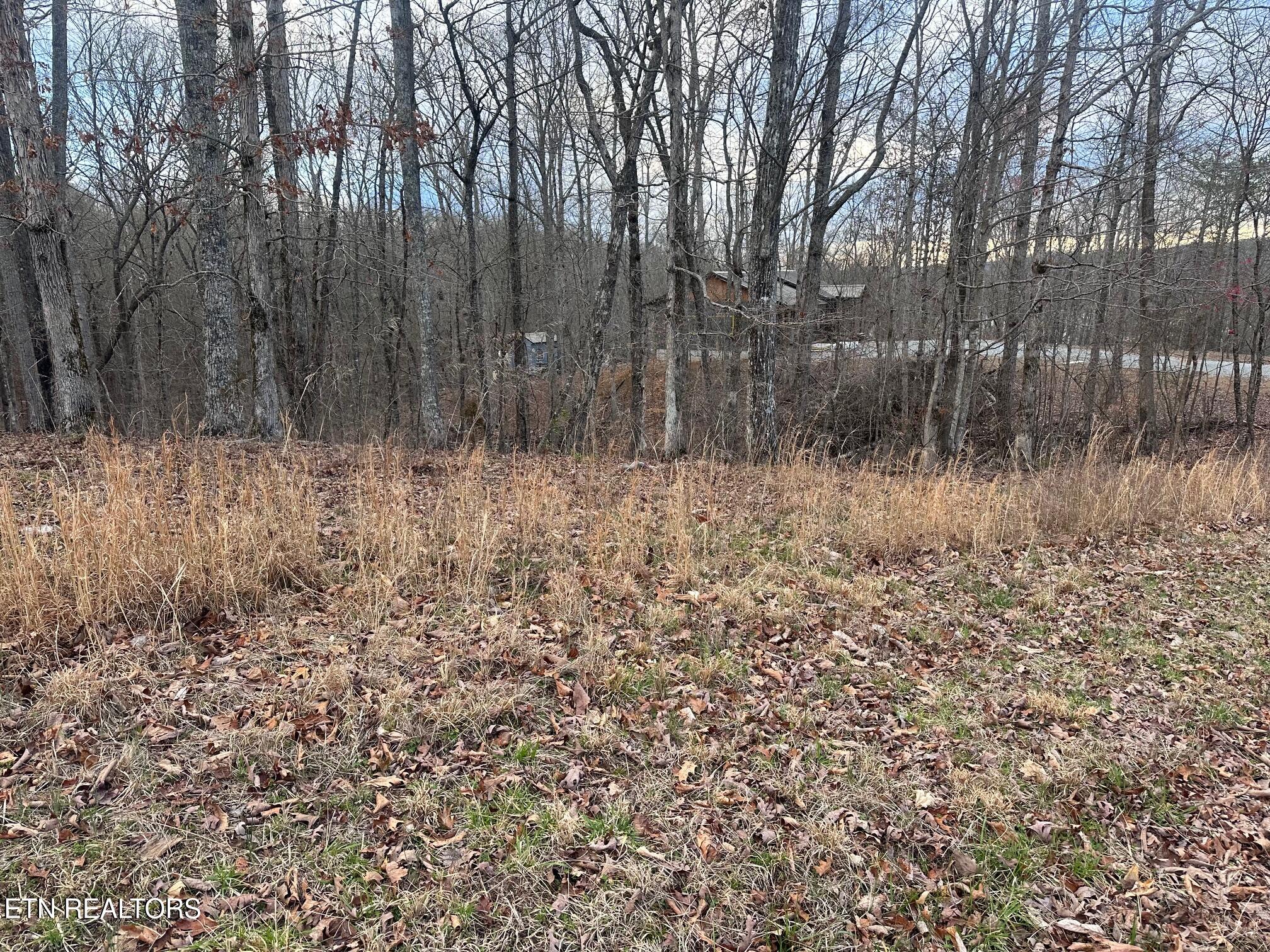 Lot 2 Indian Shadows Drive Ten Mile TN 37880
