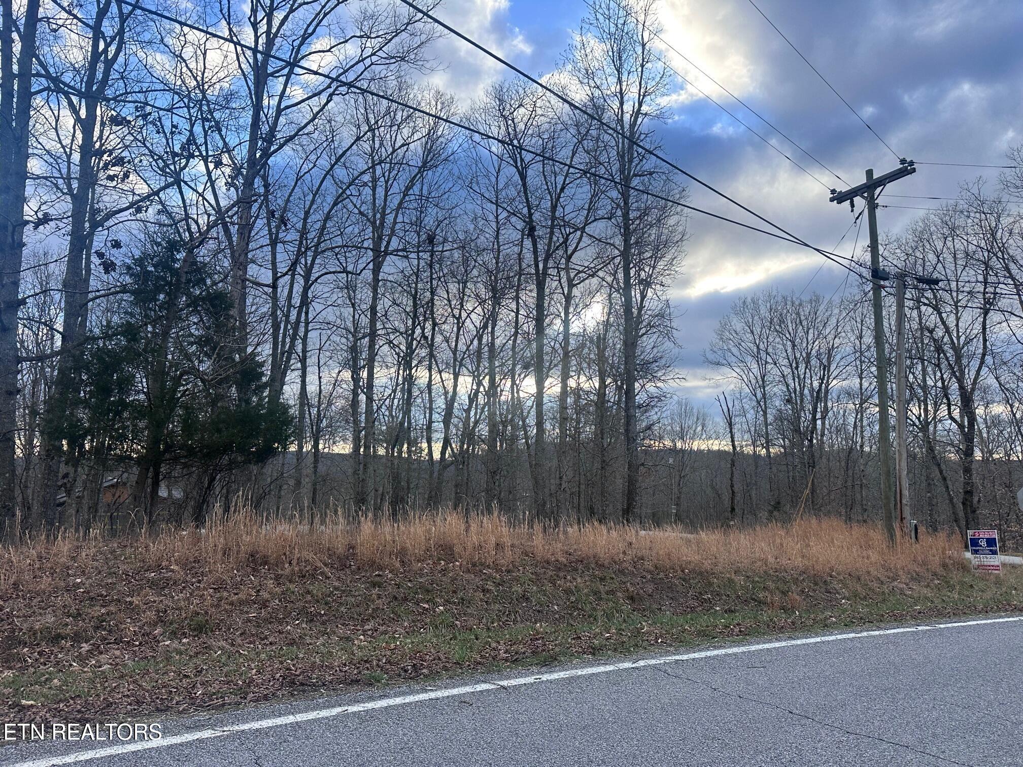 Lot 2 Indian Shadows Drive Ten Mile TN 37880