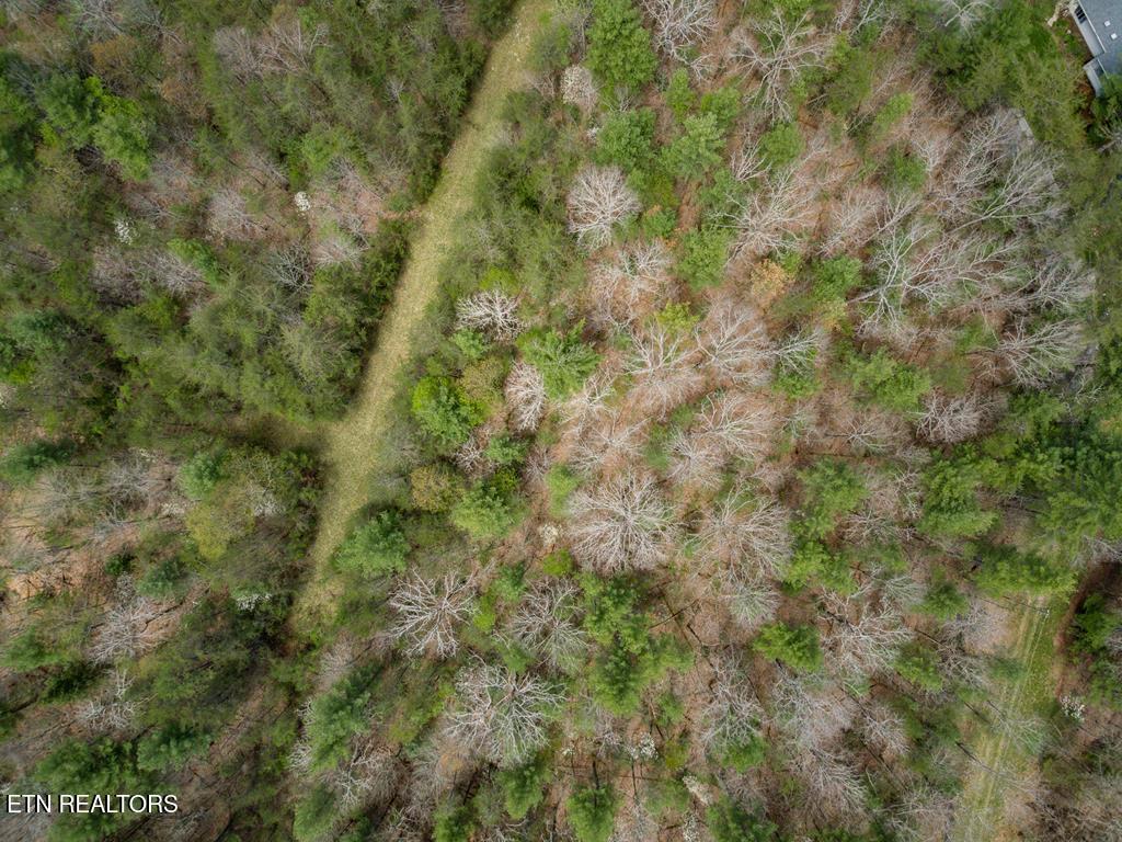 17 Menteith Lane Crossville TN 38558