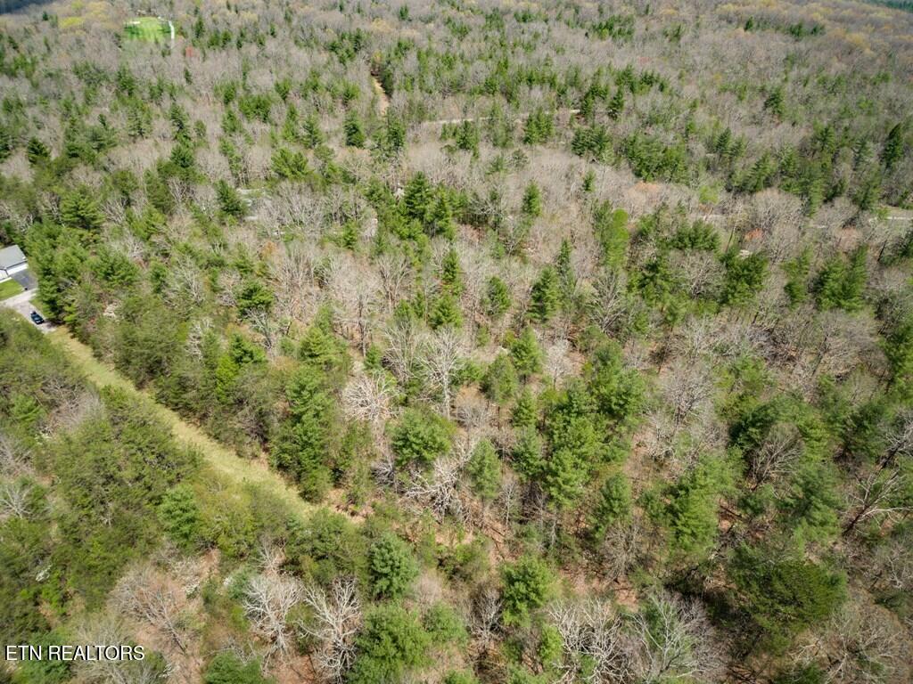 17 Menteith Lane Crossville TN 38558
