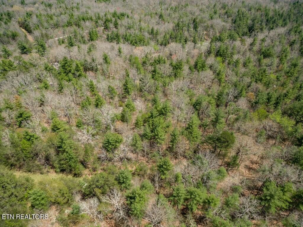 17 Menteith Lane Crossville TN 38558