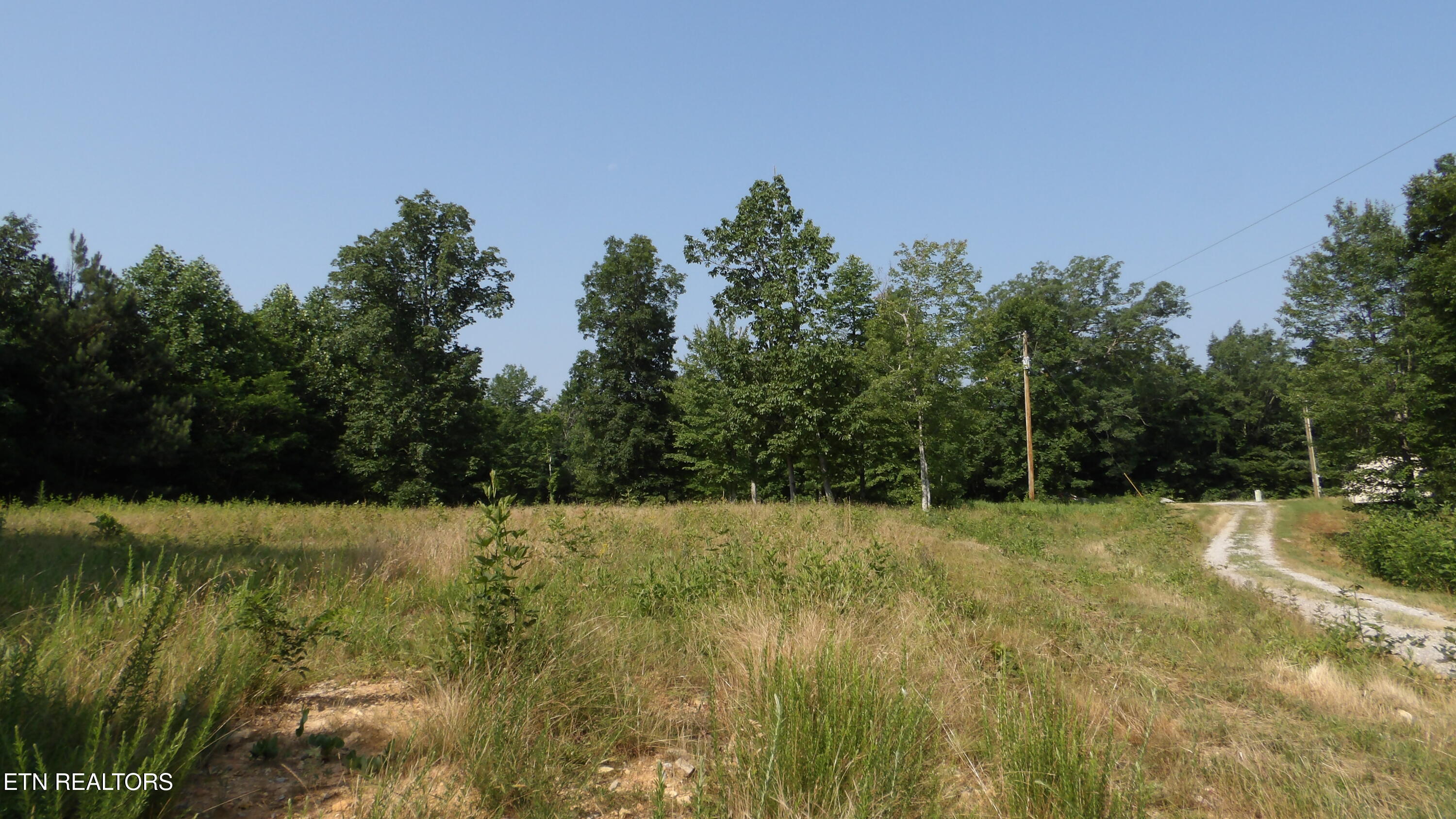 13.87AC Pleasant Cemetery Lane Gainesboro TN 38562