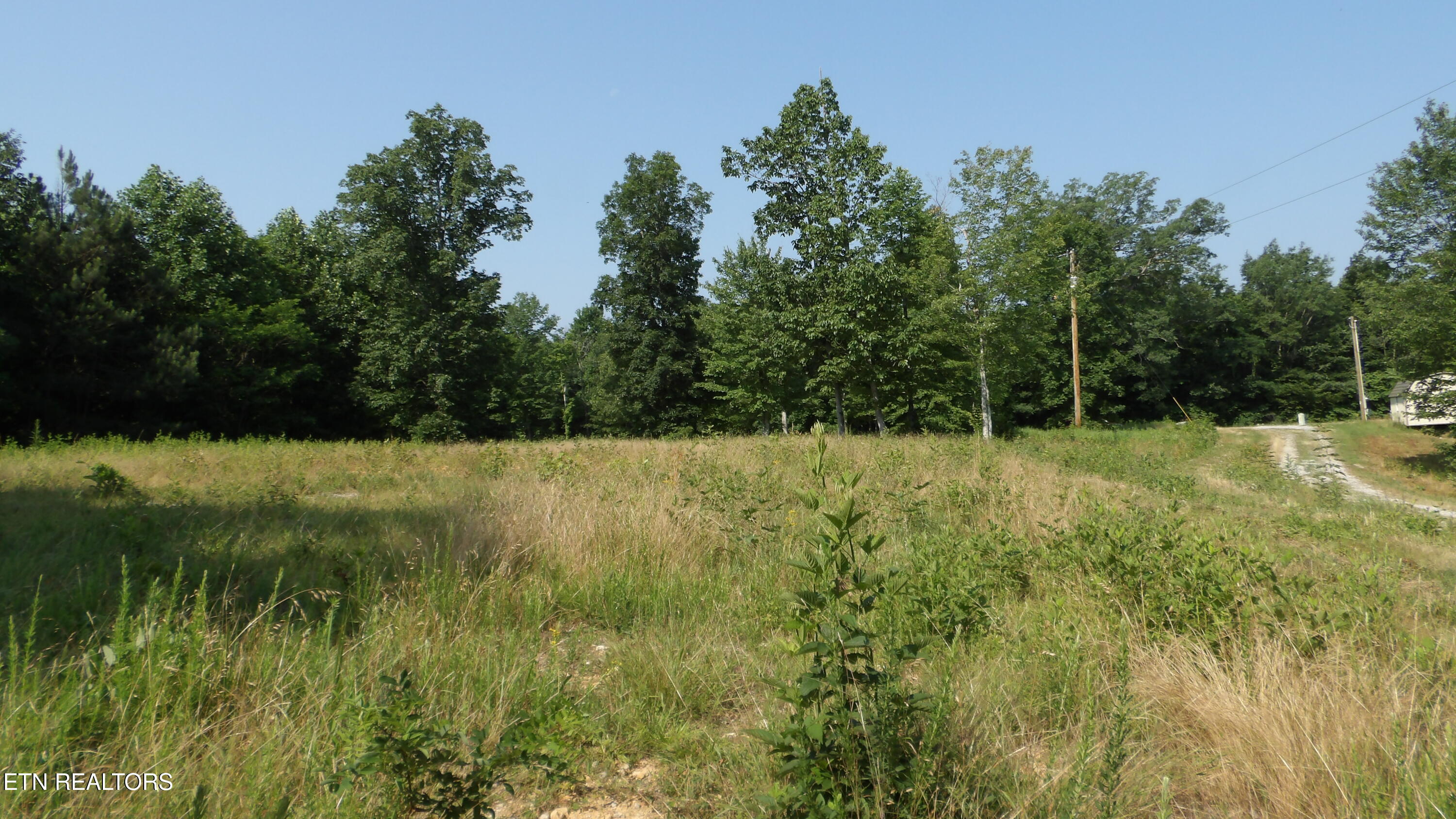 13.87AC Pleasant Cemetery Lane Gainesboro TN 38562