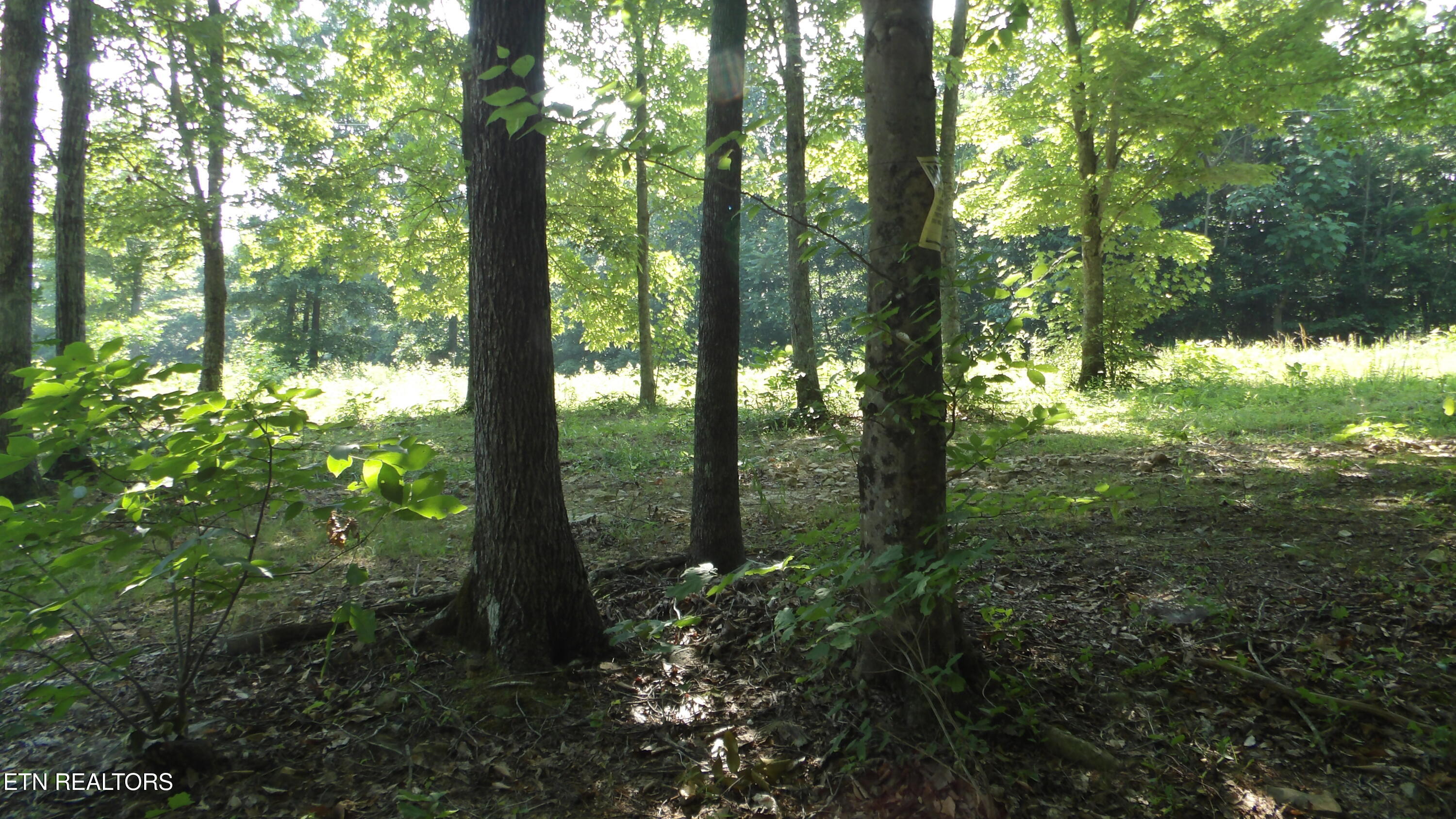 13.87AC Pleasant Cemetery Lane Gainesboro TN 38562