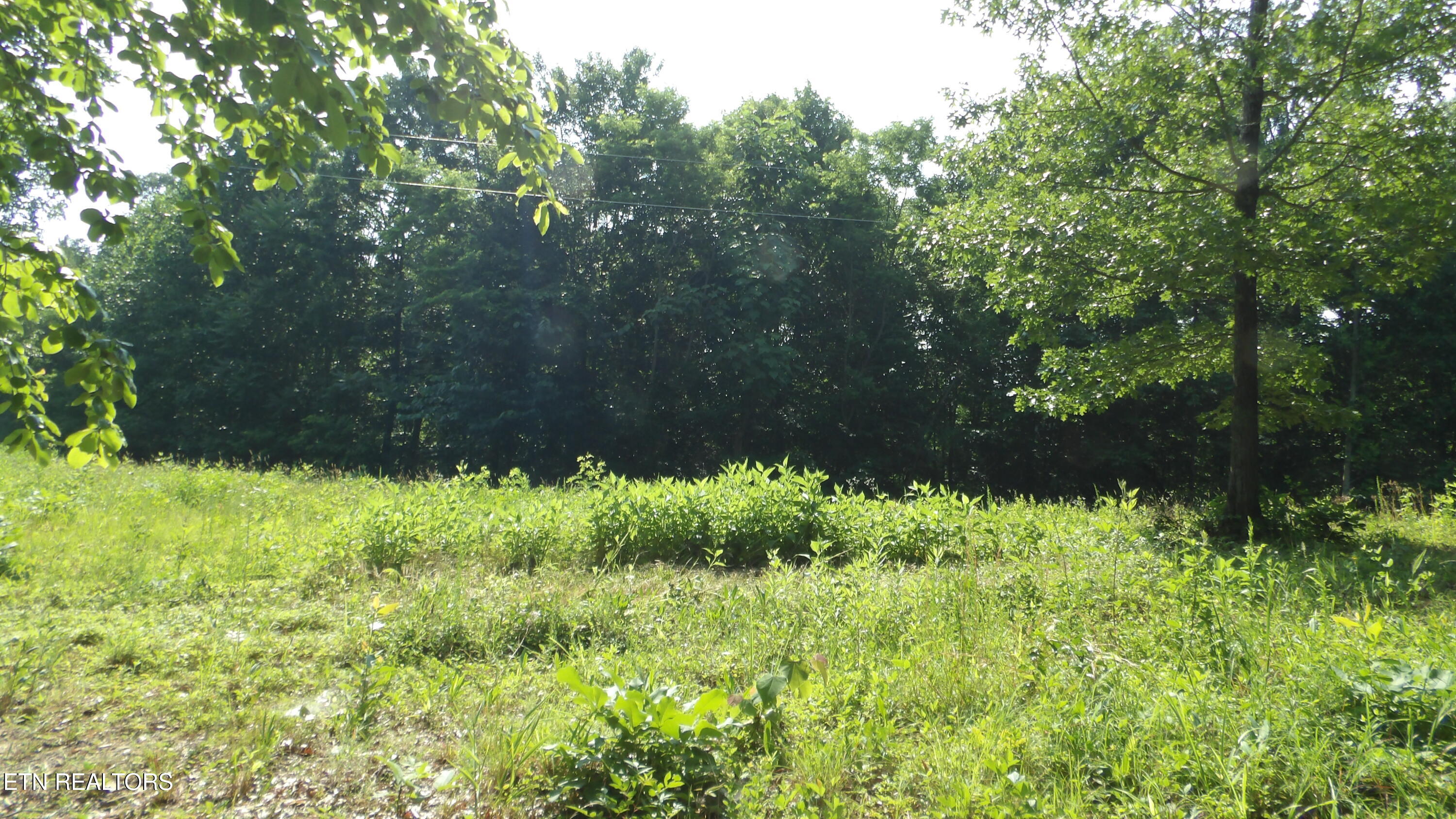 13.87AC Pleasant Cemetery Lane Gainesboro TN 38562