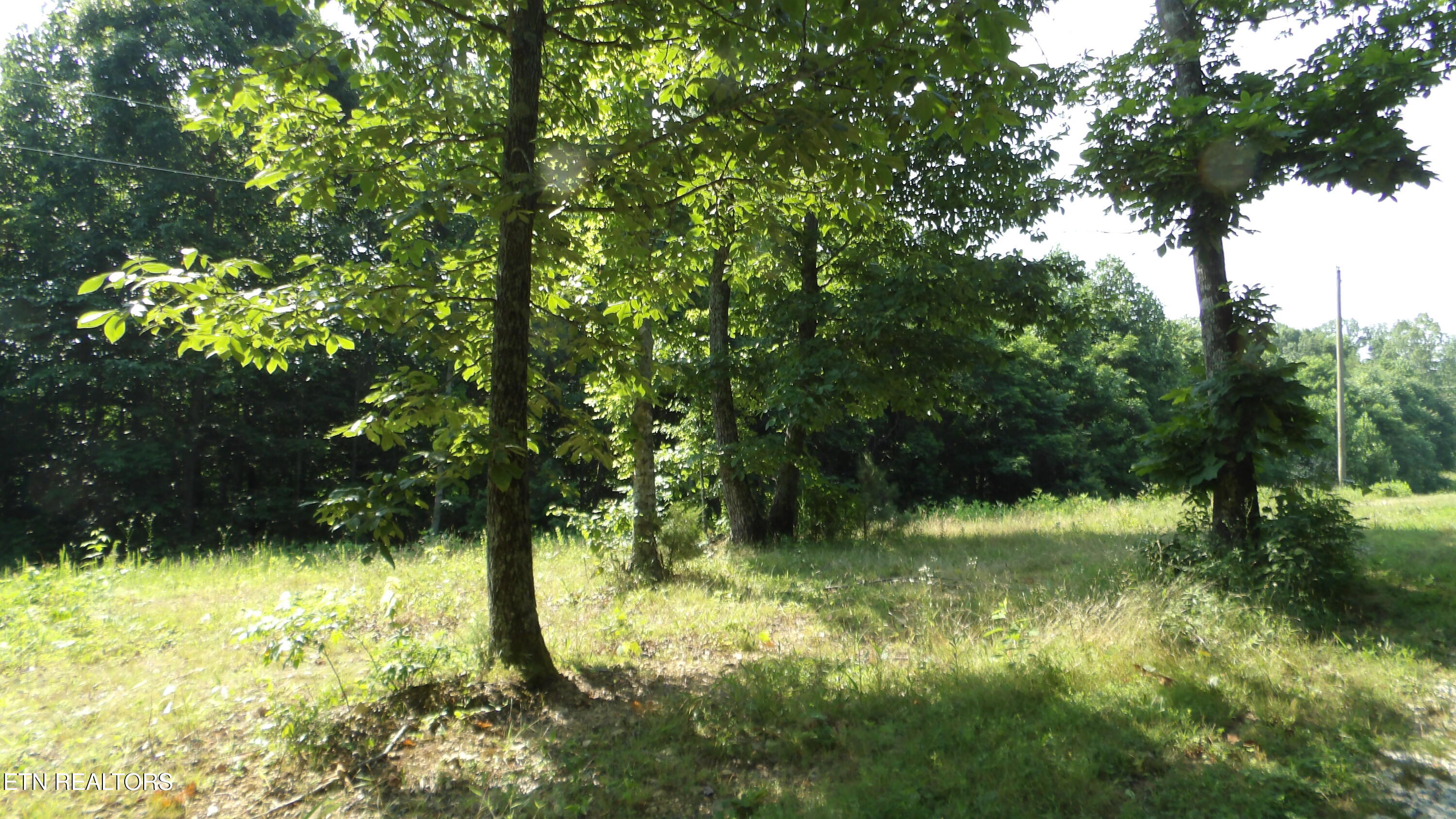 13.87AC Pleasant Cemetery Lane Gainesboro TN 38562