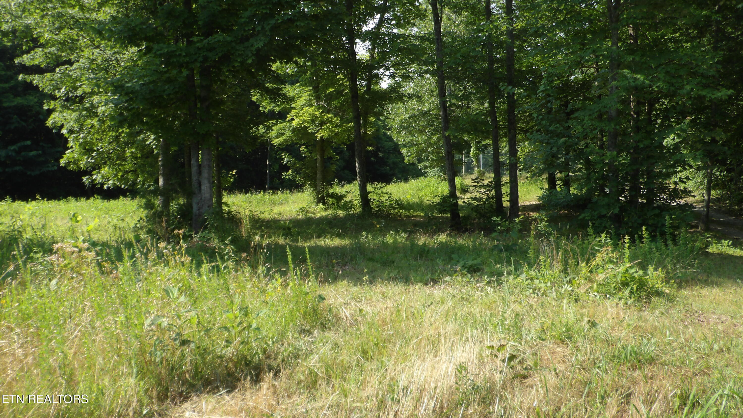 13.87AC Pleasant Cemetery Lane Gainesboro TN 38562