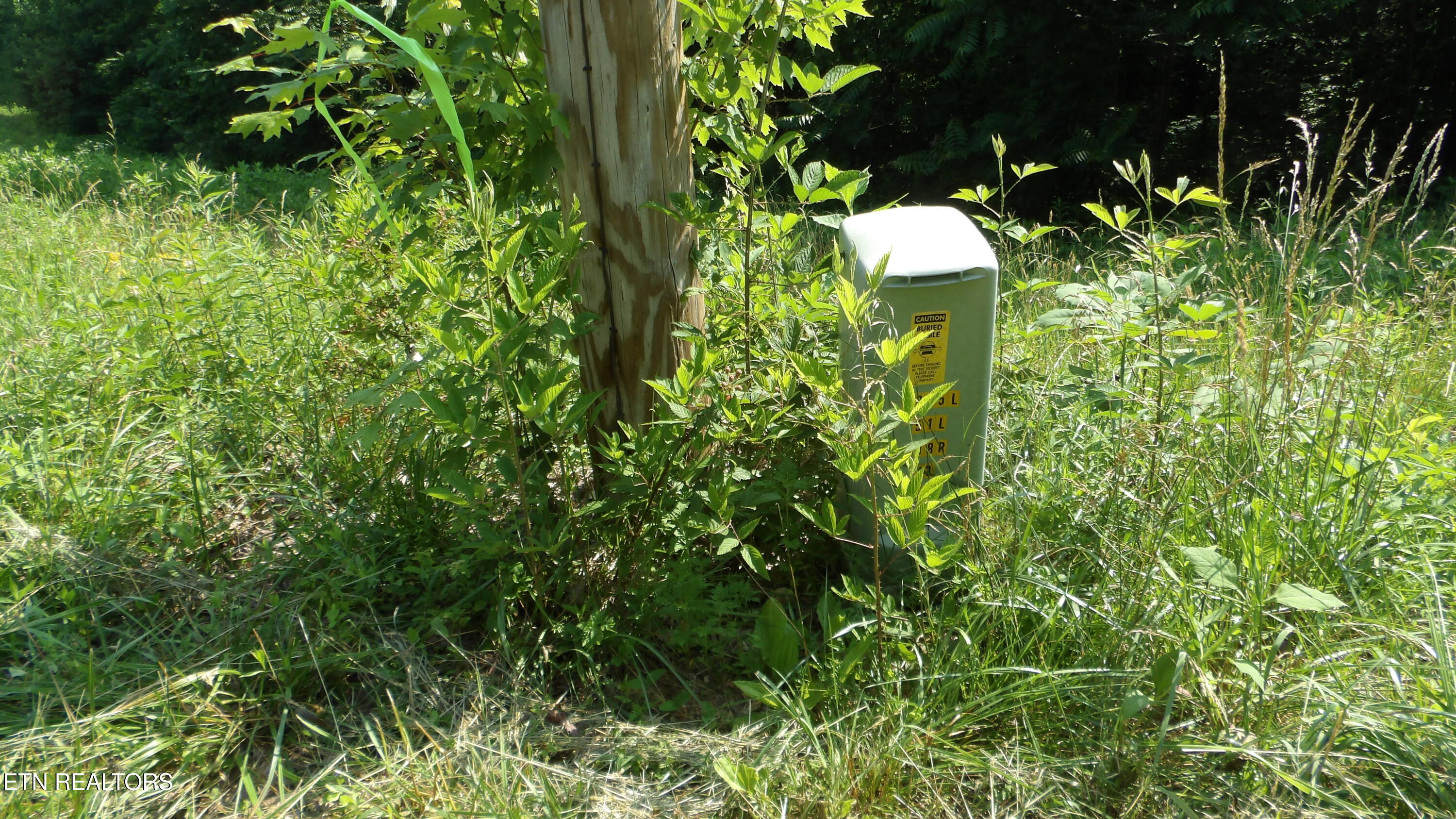13.87AC Pleasant Cemetery Lane Gainesboro TN 38562