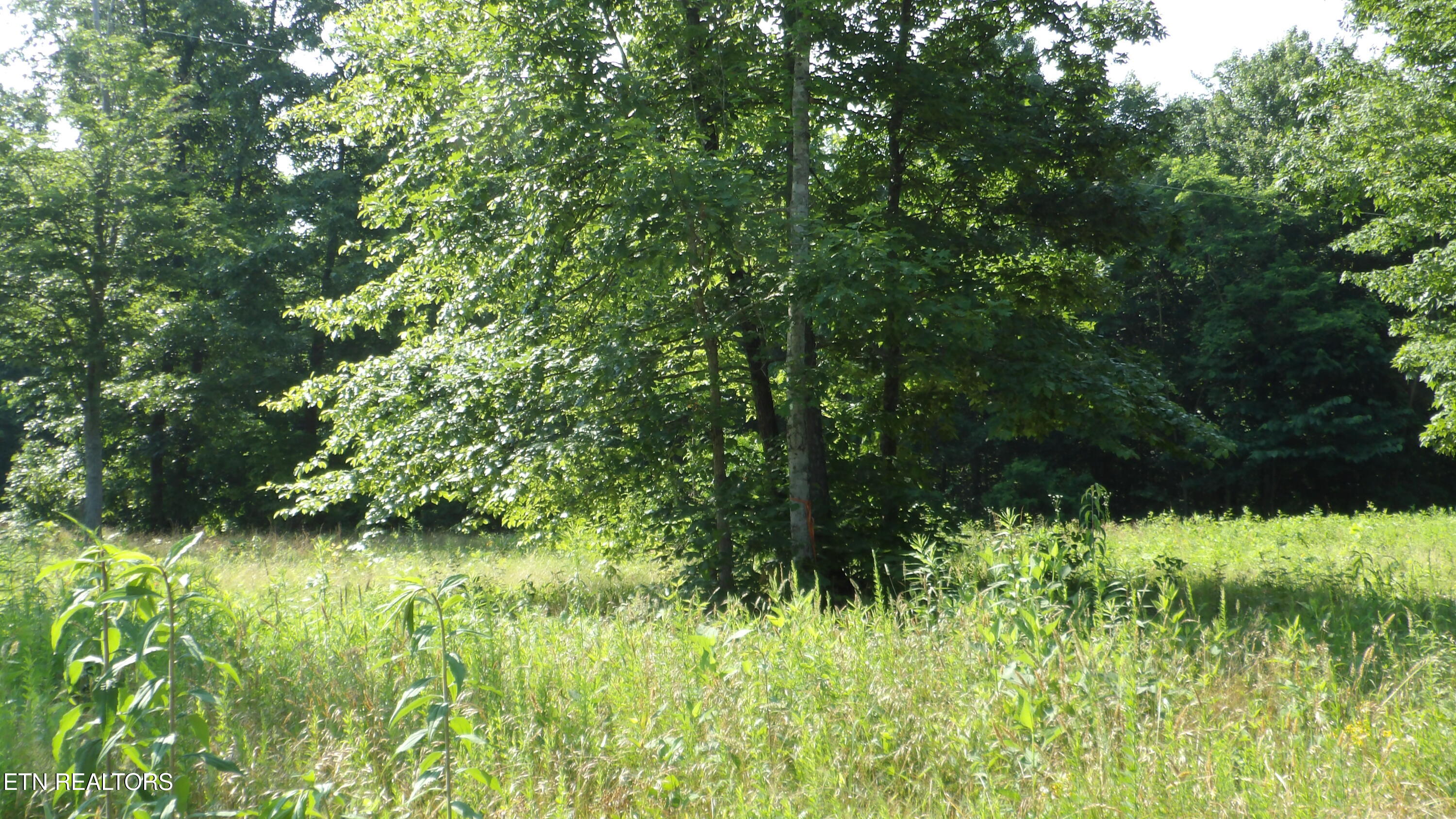 13.87AC Pleasant Cemetery Lane Gainesboro TN 38562