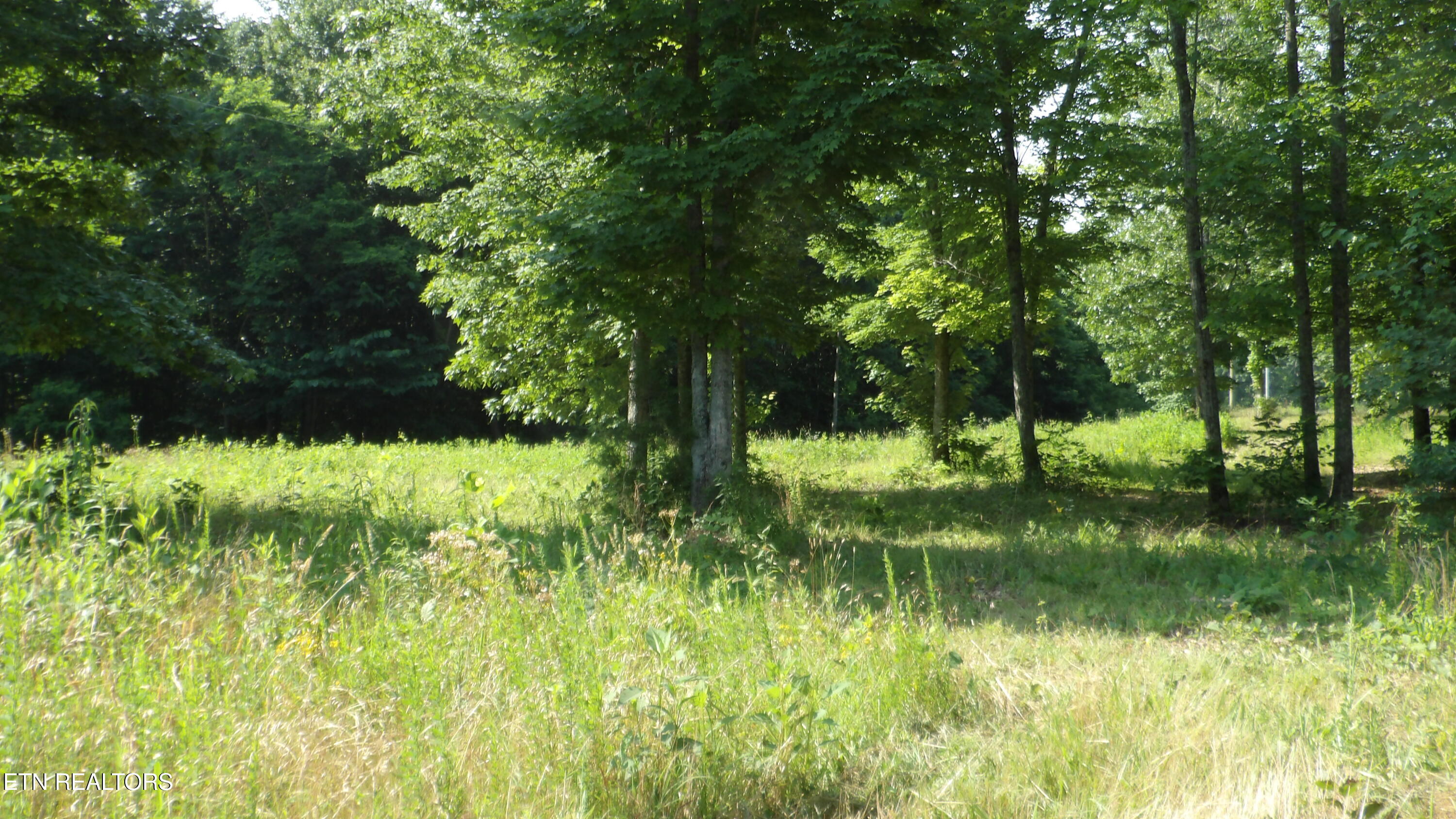 13.87AC Pleasant Cemetery Lane Gainesboro TN 38562