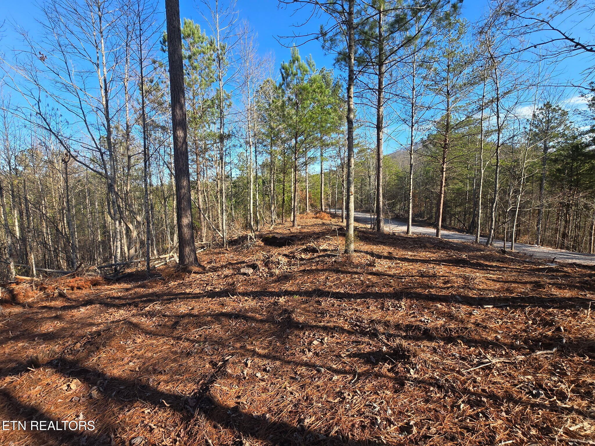 Lot 104 Pineview Lane Vonore TN 37885