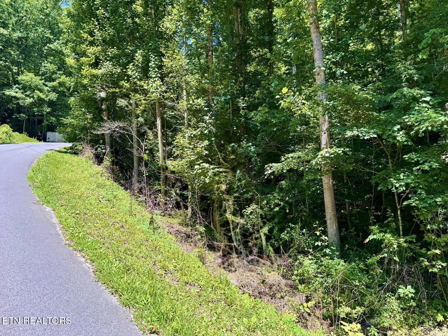 0 Fiesta Boulevard Sevierville TN 37876