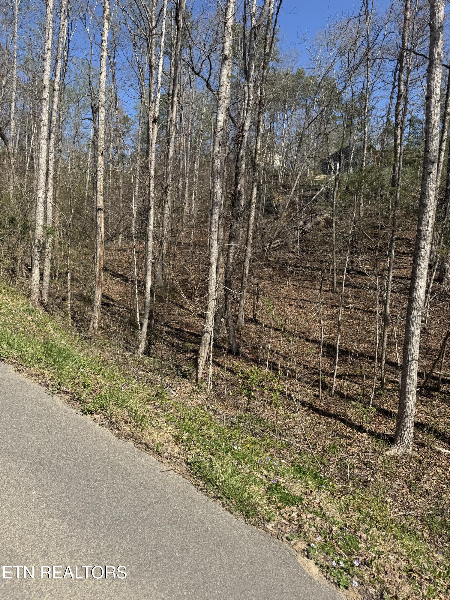 0 Fiesta Boulevard Sevierville TN 37876